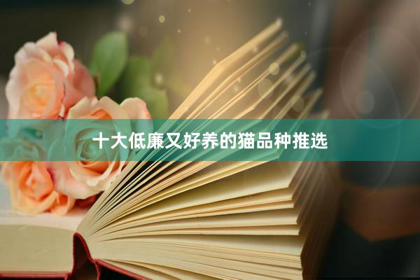十大低廉又好养的猫品种推选