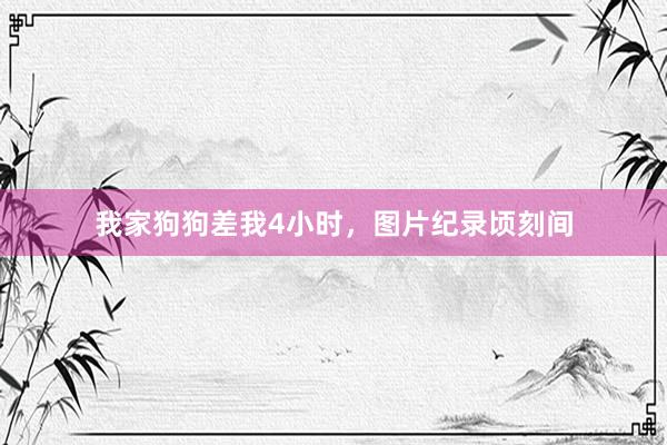 我家狗狗差我4小时，图片纪录顷刻间